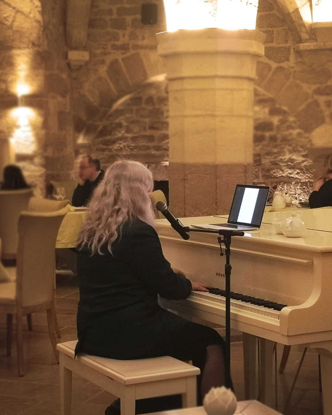chanteur chanteuse partenaire3
