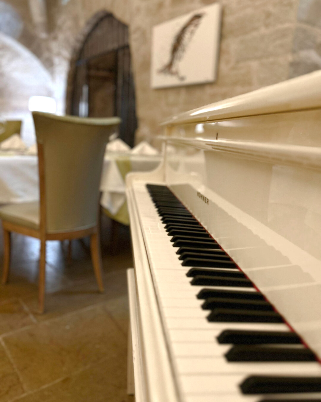 350373837_1411842456261380_3231888432469046569_n 350373837_1411842456261380_3231888432469046569_n