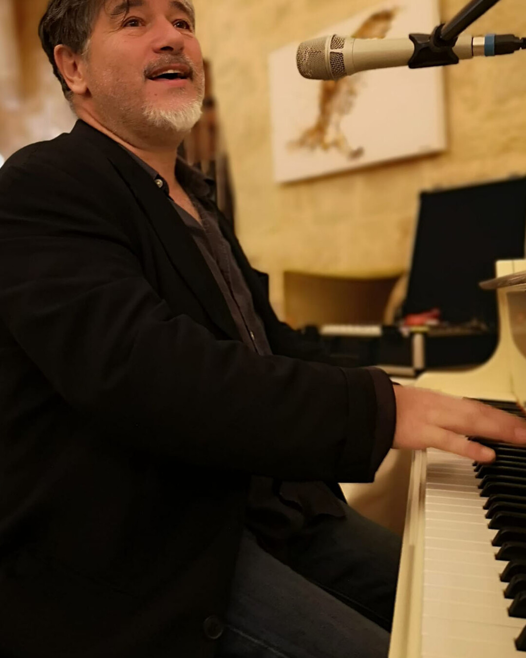 chanteur chanteuse partenaire