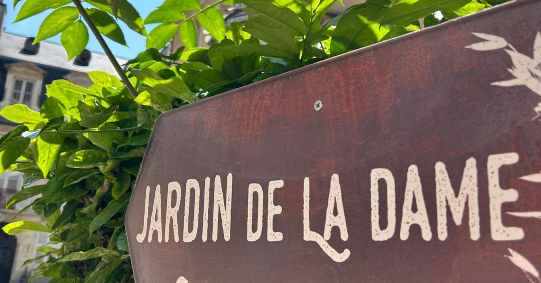 350380347_995025181492026_7866287918903620976_n